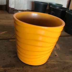 ✨ Three inch plant pot ✨